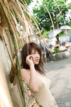 南来北往之老婆别哭