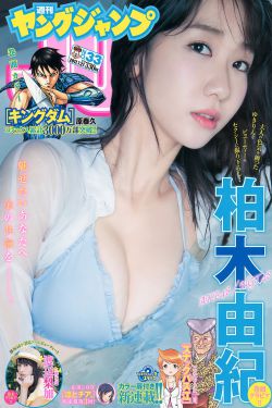 包青天狸猫换太子